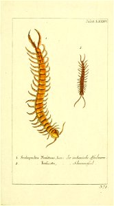 n102_w1150