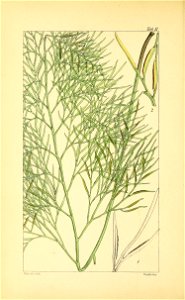 n55_w1150