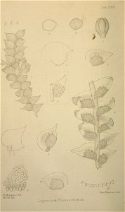 n373_w1150