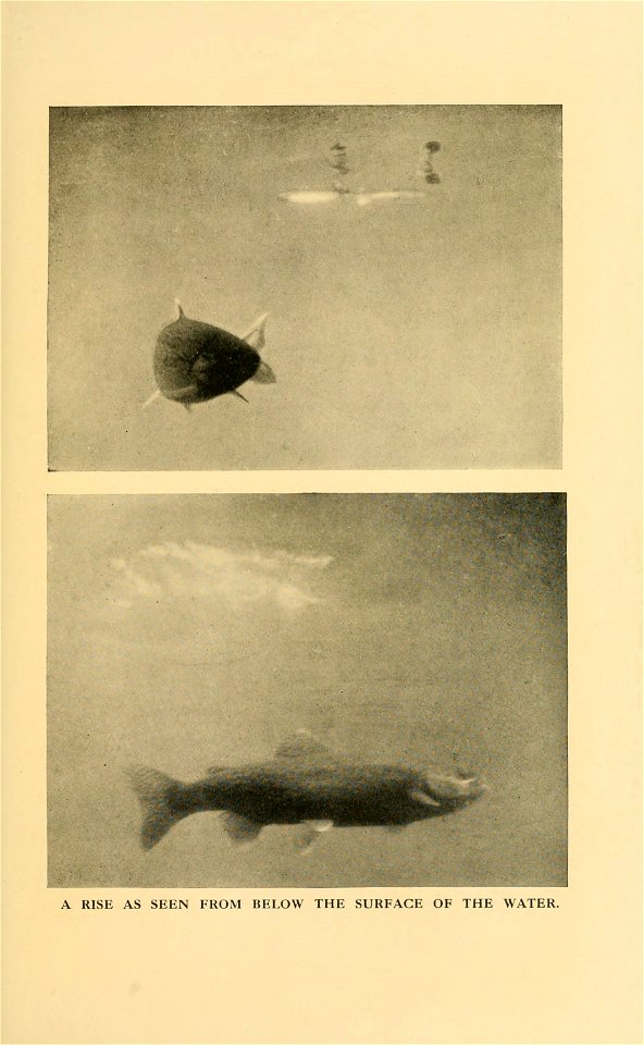 n192_w1150