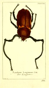 n12_w1150
