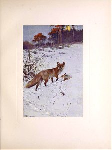n114_w1150