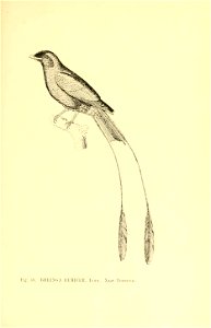 n196_w1150