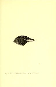 n194_w1150