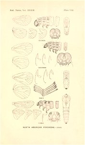 n172_w1150