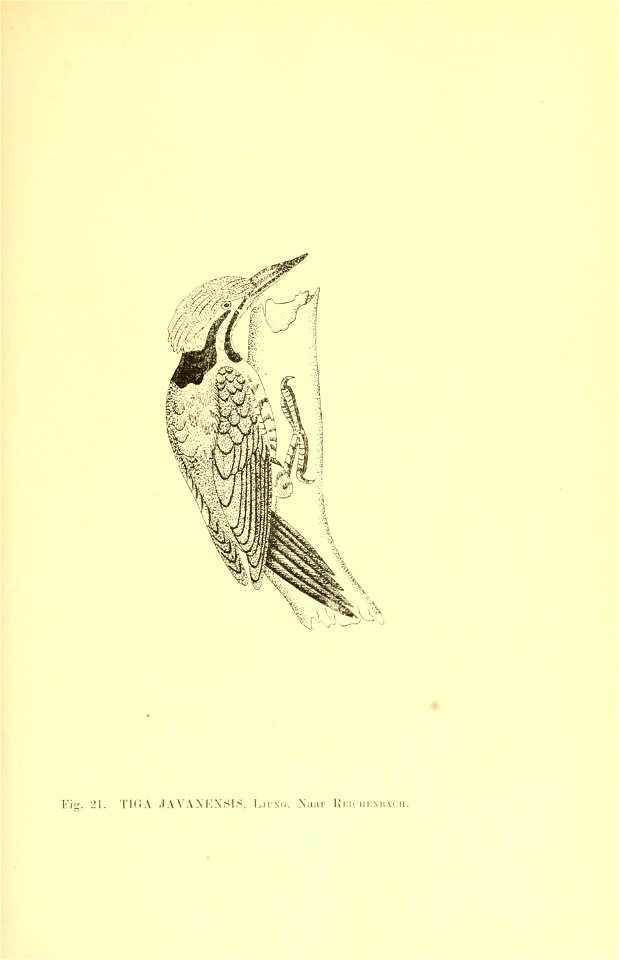 n162_w1150