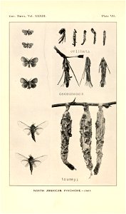 n167_w1150