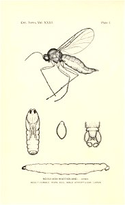 n113_w1150