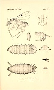 n376_w1150