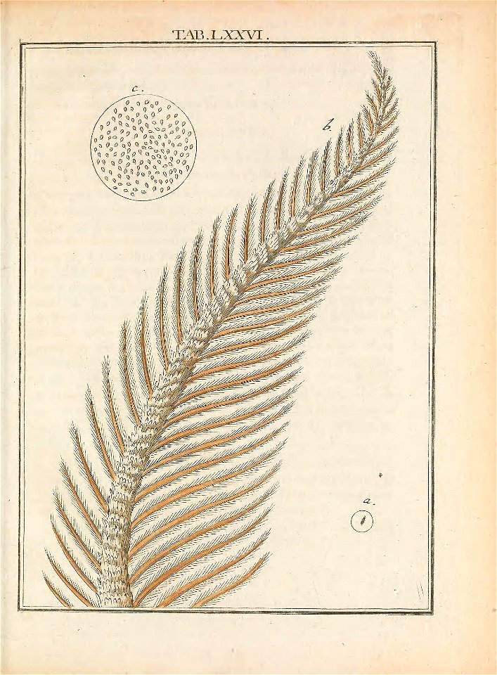 n120_w1150
