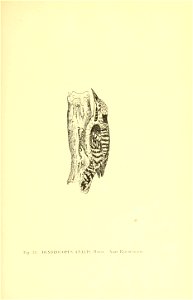 n160_w1150
