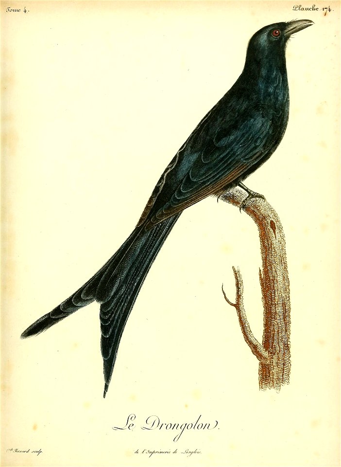 n122_w1150