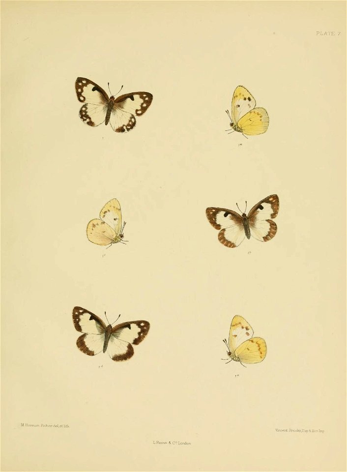 n178_w1150