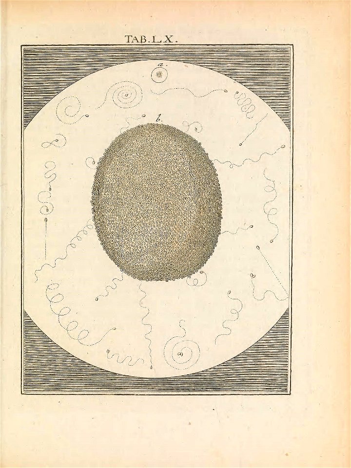 n46_w1150