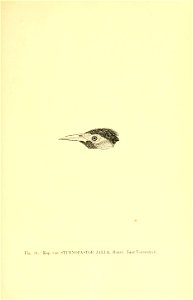 n188_w1150