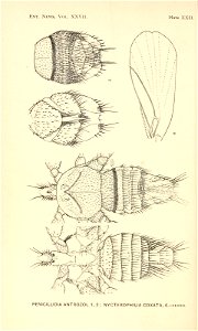 n521_w1150