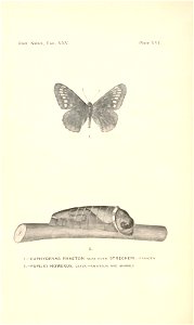n451_w1150