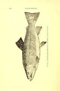 n521_w1150