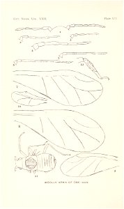 n297_w1150