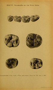n1378_w1150
