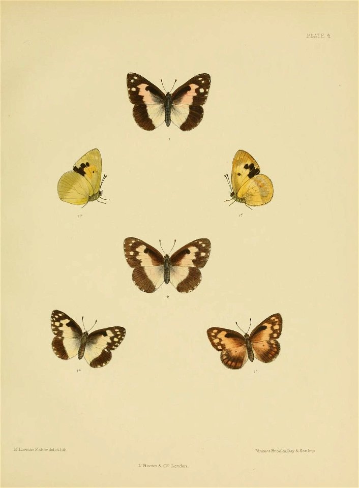n172_w1150