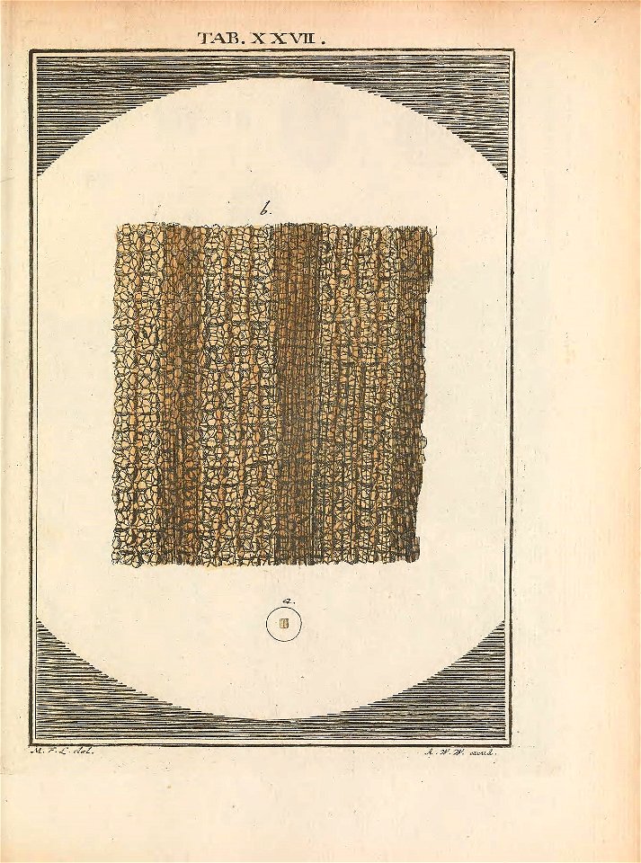 n134_w1150
