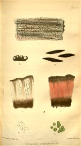 n273_w1150