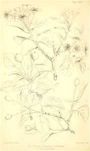 n251_w1150