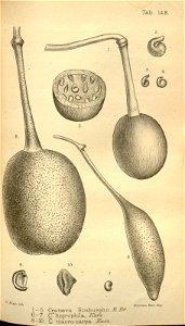 n209_w1150