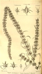 n173_w1150