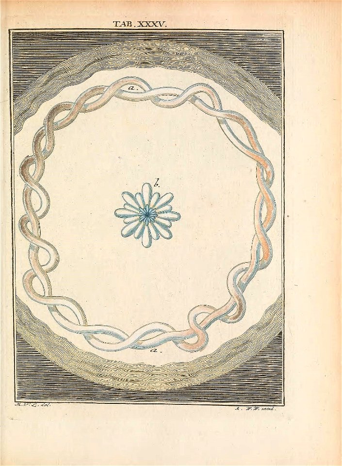 n176_w1150