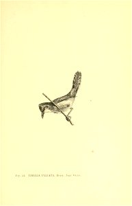 n228_w1150
