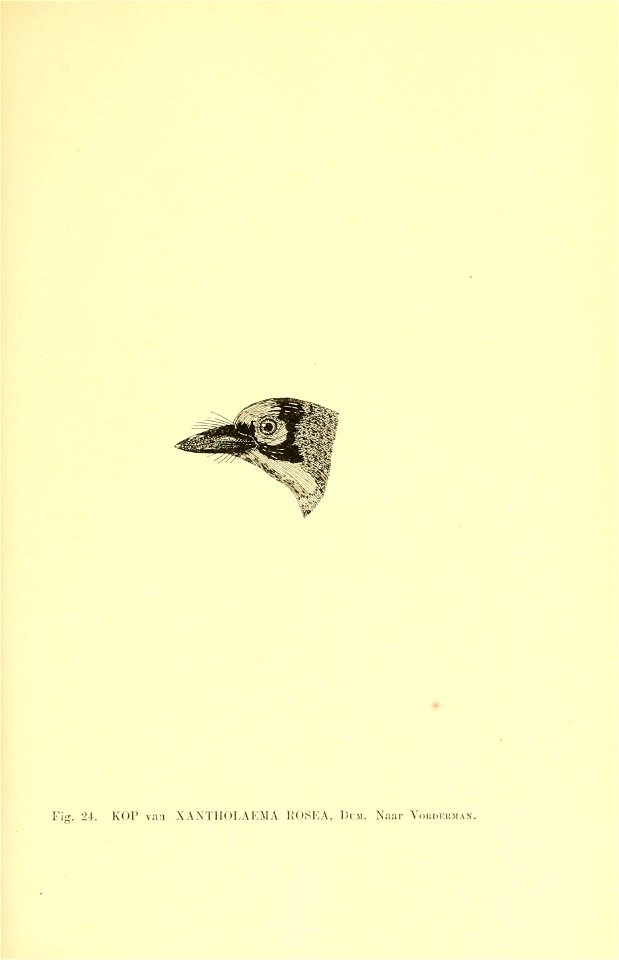 n168_w1150