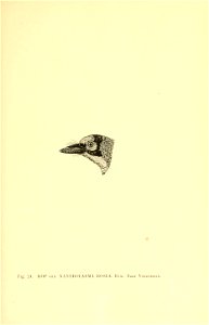 n168_w1150