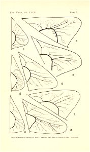 n317_w1150