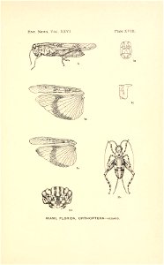 n484_w1150