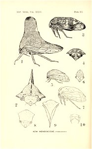 n119_w1150