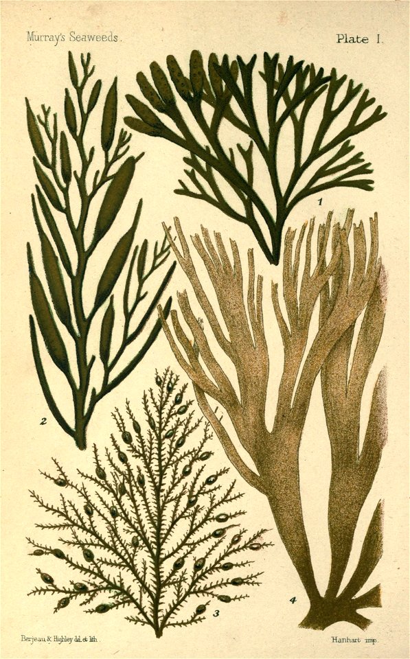 n57_w1150