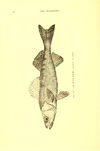 n73_w1150