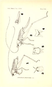 n169_w1150
