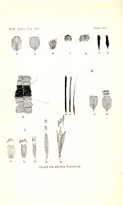 n477_w1150
