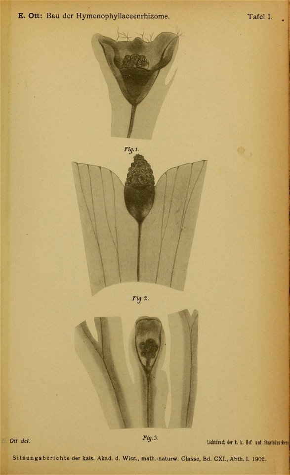 n1064_w1150