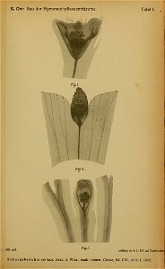 n1064_w1150