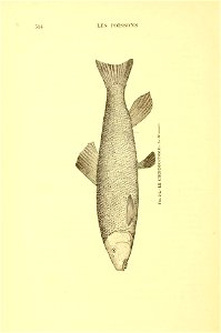 n549_w1150
