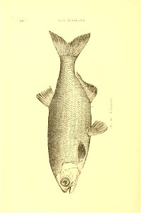 n269_w1150