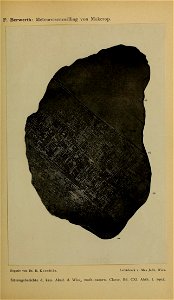 n754_w1150