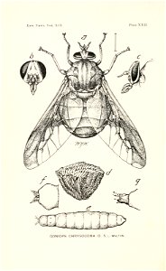 n535_w1150