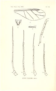 n171_w1150