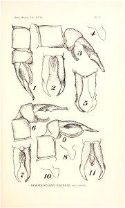 n178_w1150