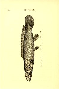 n251_w1150